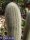 Thrixanthocereus senilis