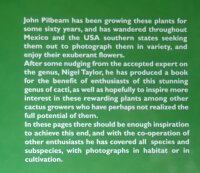 Echinocereus - John Pilbeam