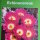 Echinocereus - John Pilbeam