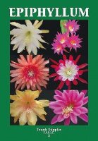 Epiphyllum Band 1, 2 und 3 - Frank Süpplie