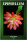 Epiphyllum Band 1, 2 und 3 - Frank Süpplie