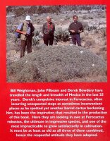 Ferocactus - Pilbeam & Bowdery