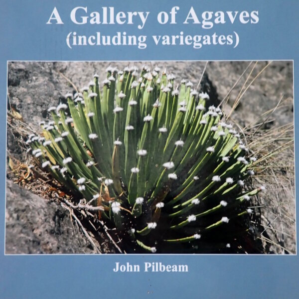 A Gallery of Agaves (including variegates) - John Pilbeam