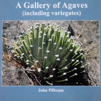A Gallery of Agaves (including variegates) - John Pilbeam