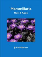 Mammillaria Now and Again - John Pilbeam