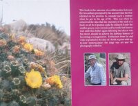 Small Opuntias - Pilbeam und Partridge