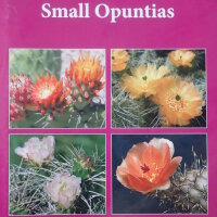 Small Opuntias - Pilbeam und Partridge