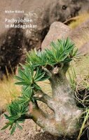 Pachypodium in Madagaskar - Walter Röösli