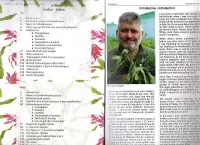 Schlumbergera Species and Hybrids- Frank Süpplie