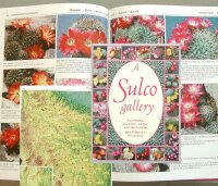 A sulco gallery - John Pilbeam und David Hunt