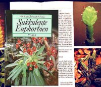 Sukkulente Euphorbien - Volker Buddensiek