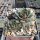Sempervivum cv. Candy Kiss (dw)