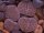 Lithops karasmontana SB 2166