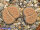 Lithops hookeri v. lutea Groblershoop