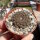 Copiapoa hypogaea cv. Lizard Skin
